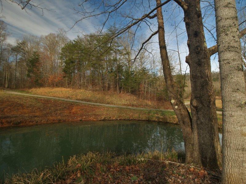 1444 Reagan Valley Road Tellico Plains, TN 37385 - Photo 8 of 40 IMG_3607