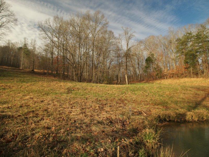 1444 Reagan Valley Road Tellico Plains, TN 37385 - Photo 9 of 40 IMG_3611