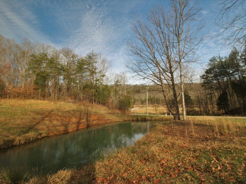 1444 Reagan Valley Road Tellico Plains, TN 37385 - Photo 10 of 40 IMG_3613