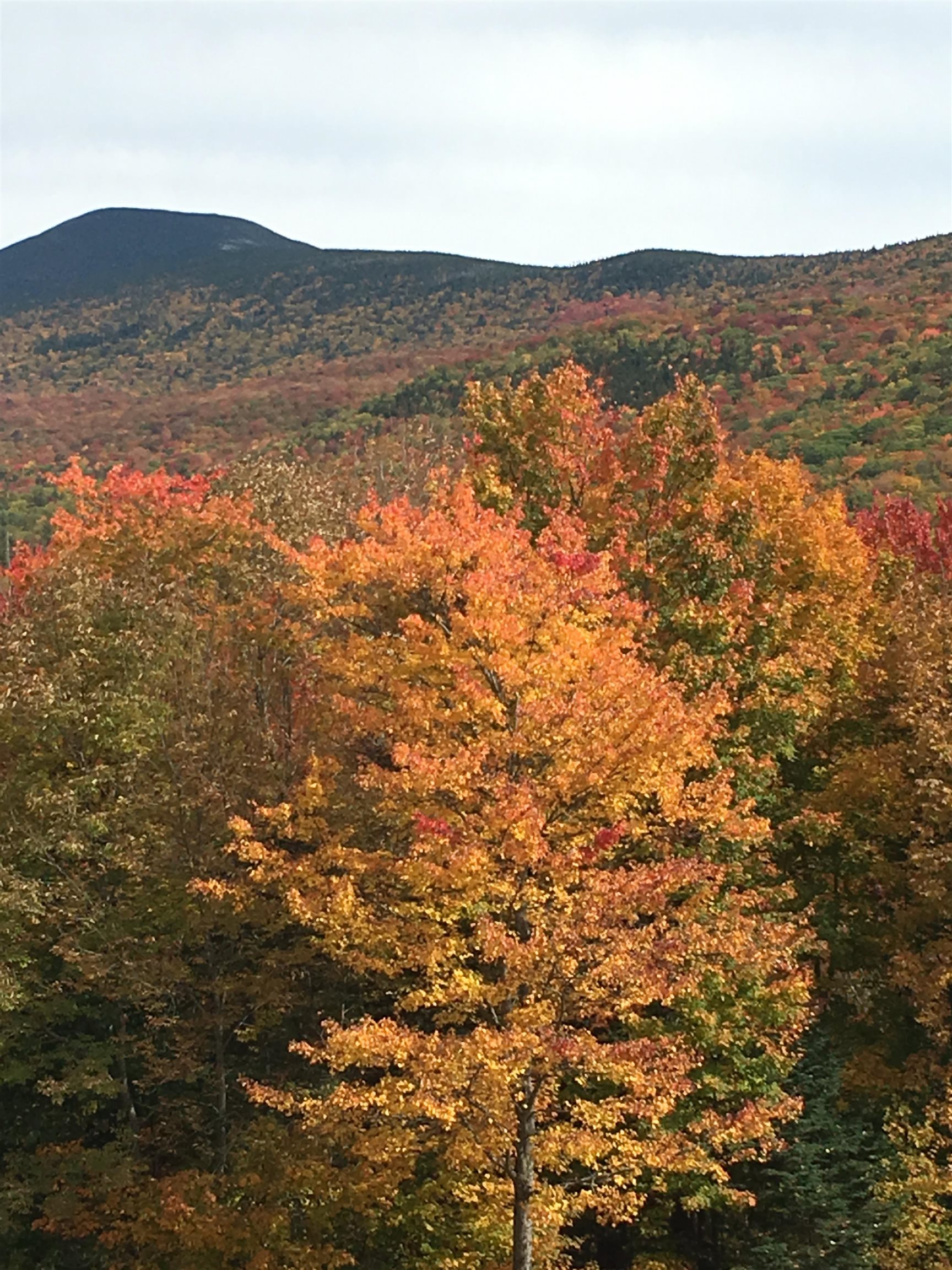 1063 Highway 25 Warren, NH 03279 - Photo 2 of 31