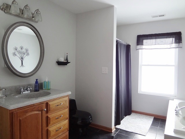 12920 Base Line Road Kingston, IL 60145 - Photo 12 of 25 a bathroom with a sink and a mirror