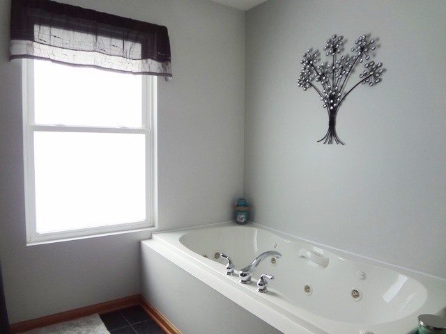 12920 Base Line Road Kingston, IL 60145 - Photo 13 of 25 a bath tub sitting next to a window