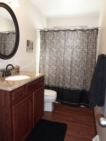 12920 Base Line Road Kingston, IL 60145 - Photo 18 of 25 a bathroom with a sink a toilet and a mirror
