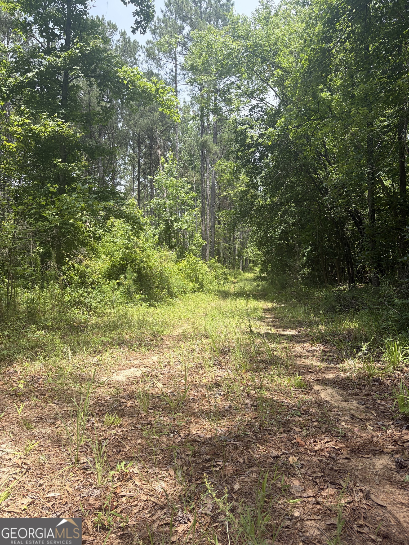 1 Sunhill Grange Road Sandersville, GA 31018 - Photo 9 of 10