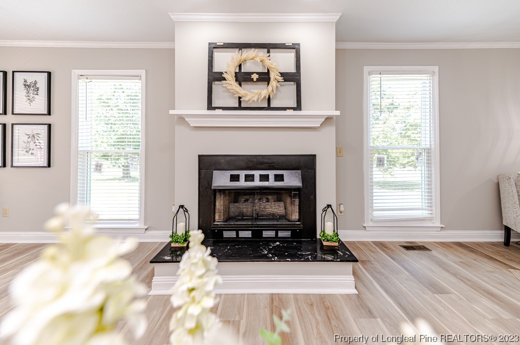 4286 Nicholson Road Cameron, NC 28326 - Photo 13 of 50 a living room with furniture and a fireplace