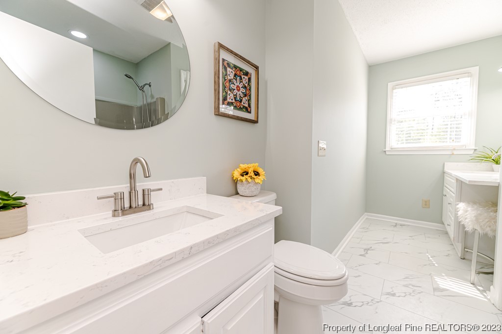4286 Nicholson Road Cameron, NC 28326 - Photo 39 of 50 a bathroom with a sink toilet and mirror