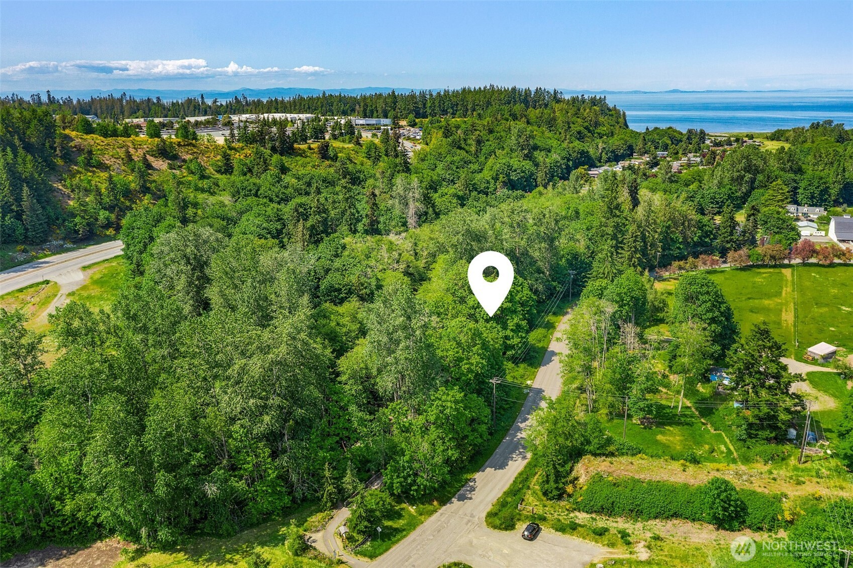 153 Strait View Drive Port Angeles, WA 98362 - Photo 2 of 16 a view of a forest with a street