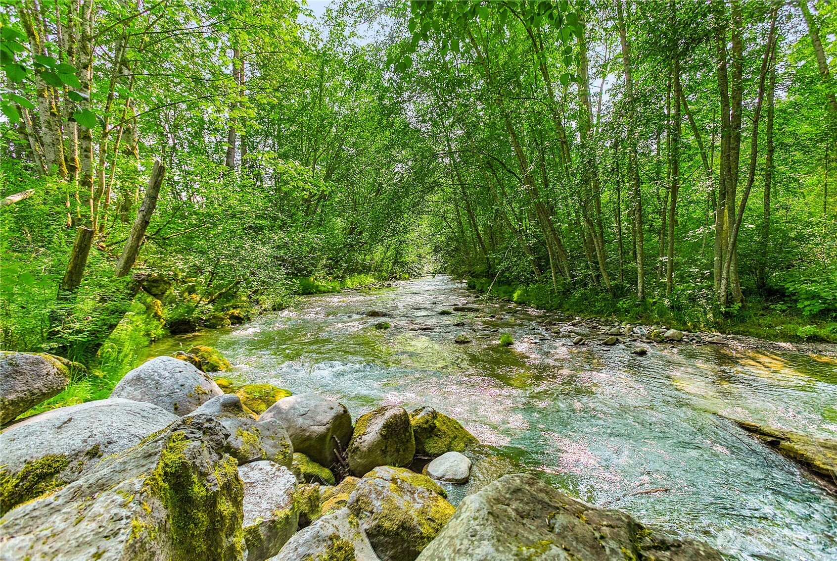 153 Strait View Drive Port Angeles, WA 98362 - Photo 3 of 16 a view of a tree with a yard