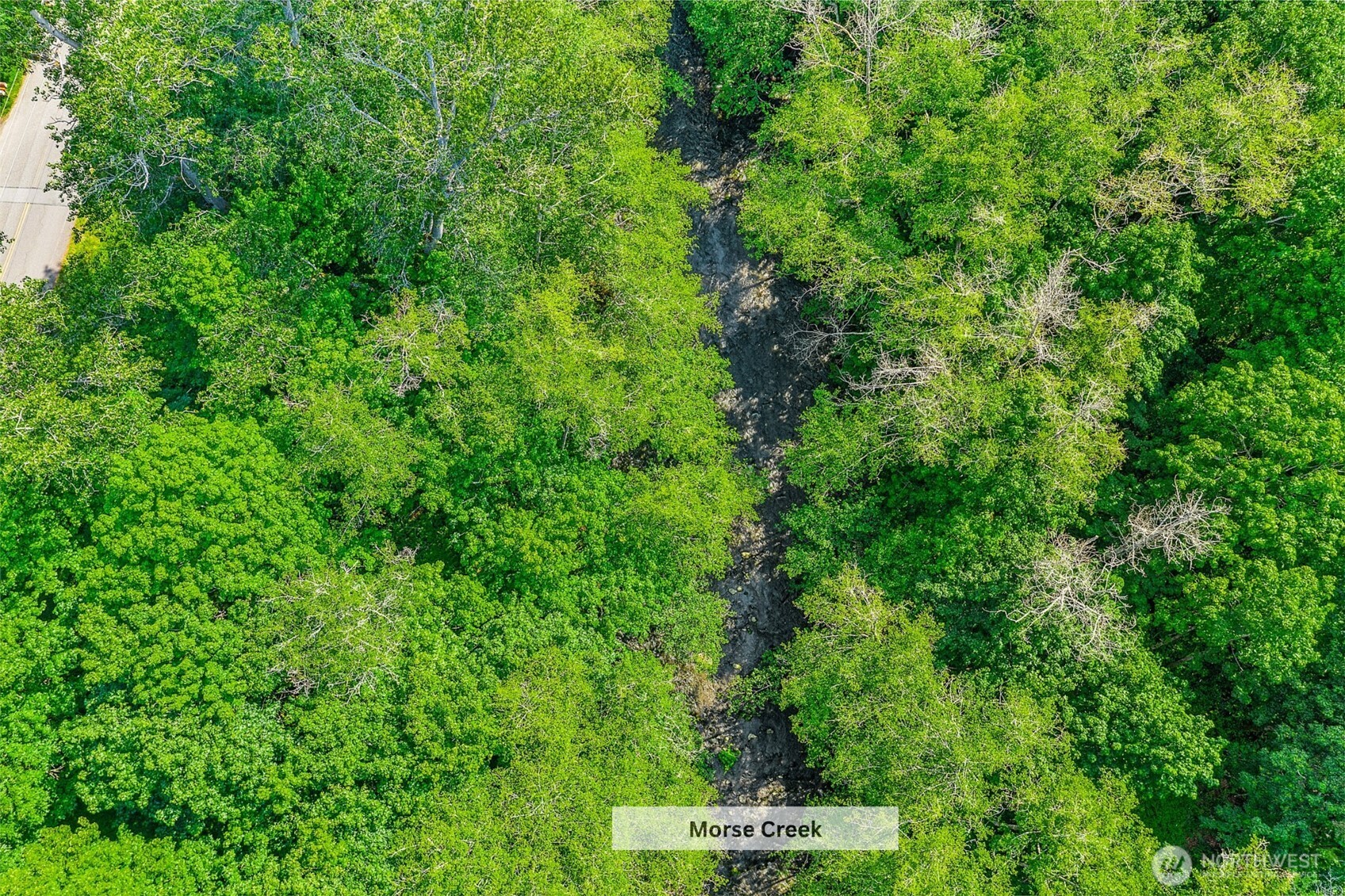 153 Strait View Drive Port Angeles, WA 98362 - Photo 4 of 16 a view of a street with a tree
