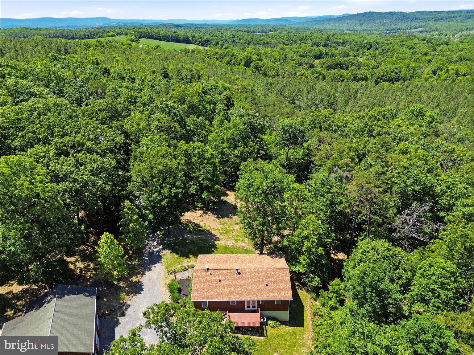 323 South Timber Ridge Road Cross Junction, VA 22625 - Photo 96 of 109 Serene retreat amidst lush greenery.