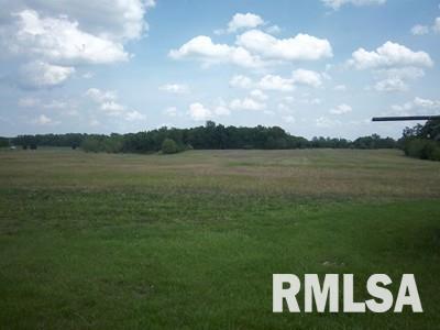 13722 Edwards Road Pittsburg, IL 62974 - Photo 1 of 1