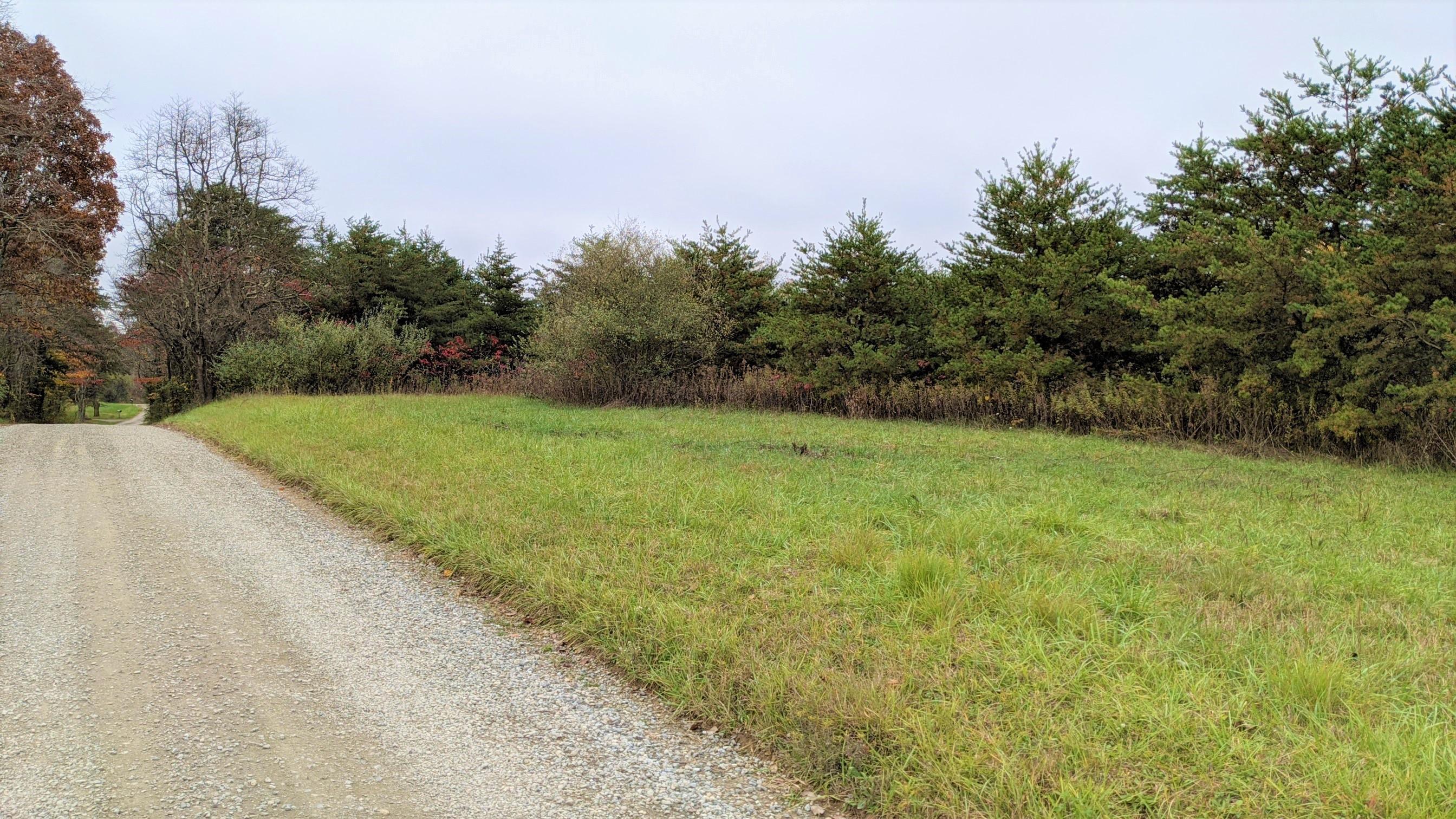 0 Lightner Road Guysville, OH 45735 - Photo 1 of 17