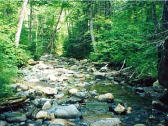 1691 Coles Road Island Pond, VT 05846 - Photo 1 of 2 Gallery Image 1