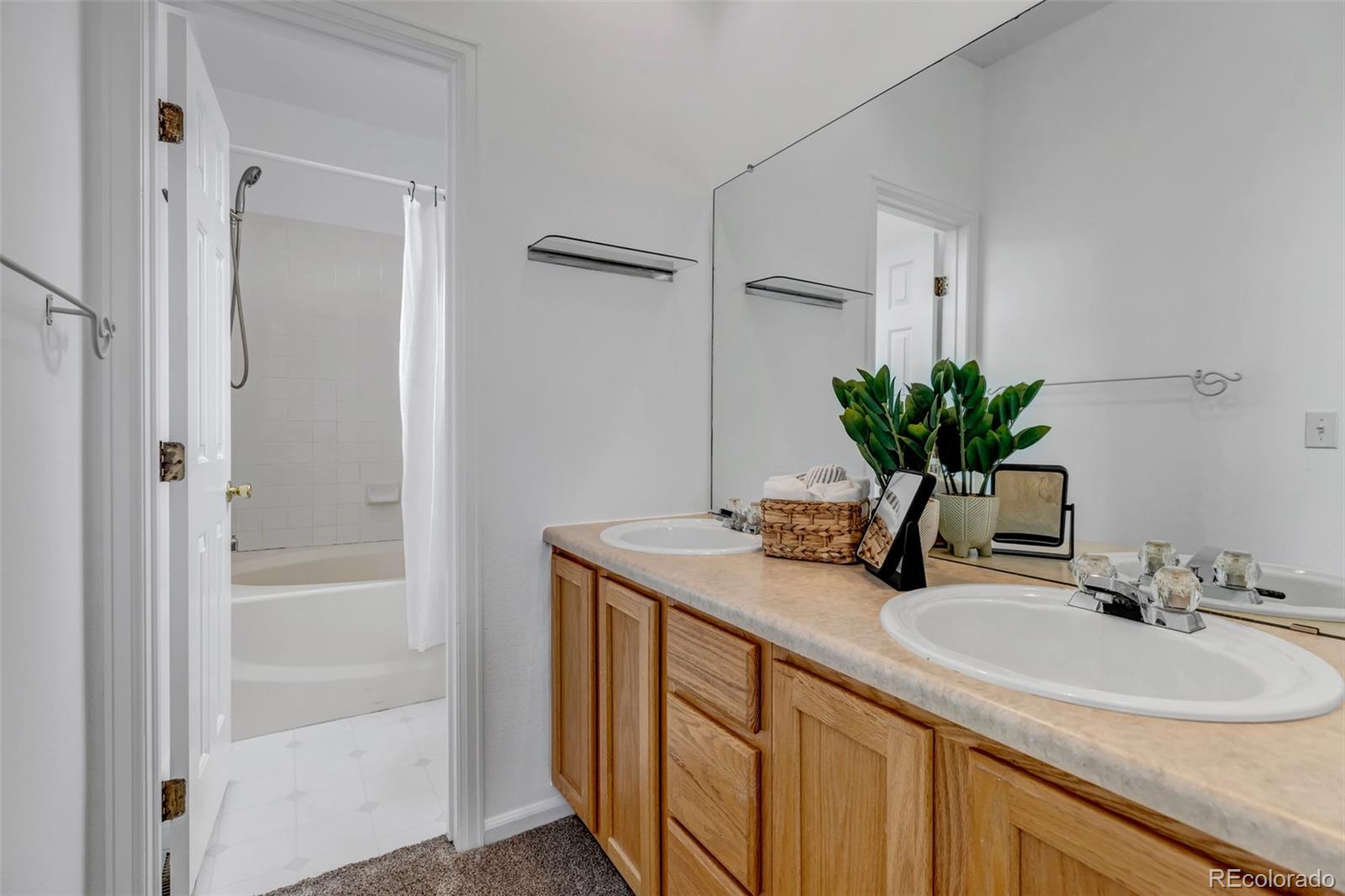 1237 Carlyle Park Circle Highlands Ranch, CO 80129 - Photo 19 of 33 a bathroom with a granite countertop sink and a mirror