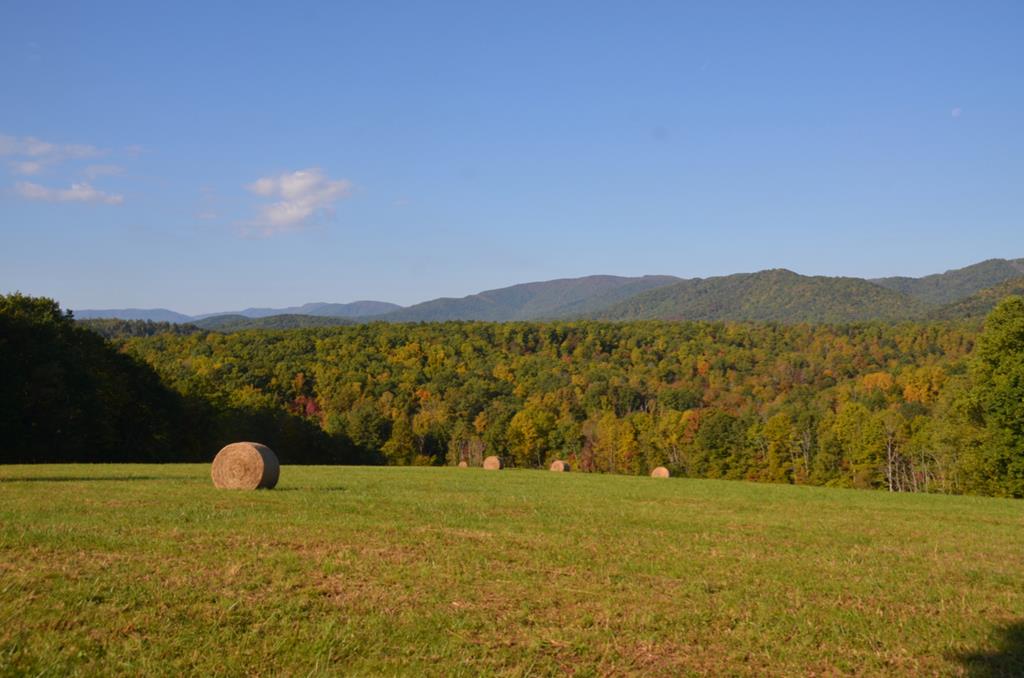 880 Johnny's Ridge Road Ferrum, VA 24088 - Photo 45 of 47 Gallery Image 45