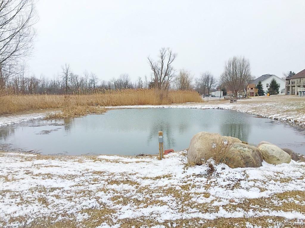 74562 Gould Road Romeo, MI 48065 - Photo 31 of 34 IMG_0979.jpg