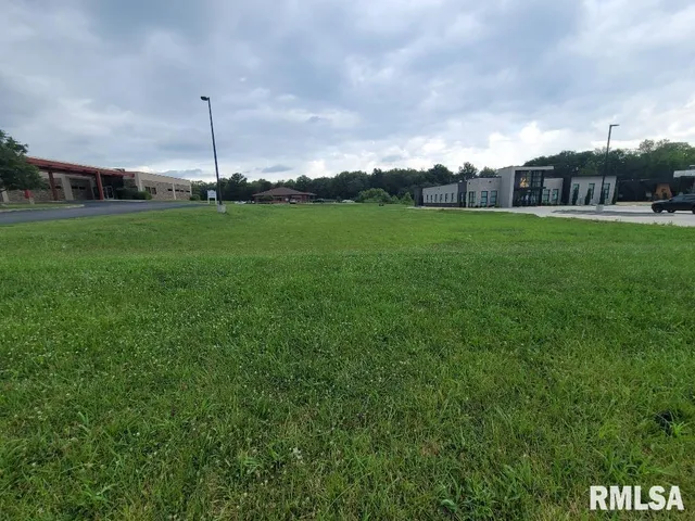 a view of a park that has a large trees