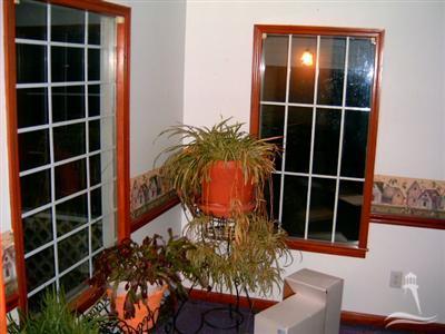 87 Stack Turner Road Chadbourn, NC 28431 - Photo 3 of 22 Additional Photo