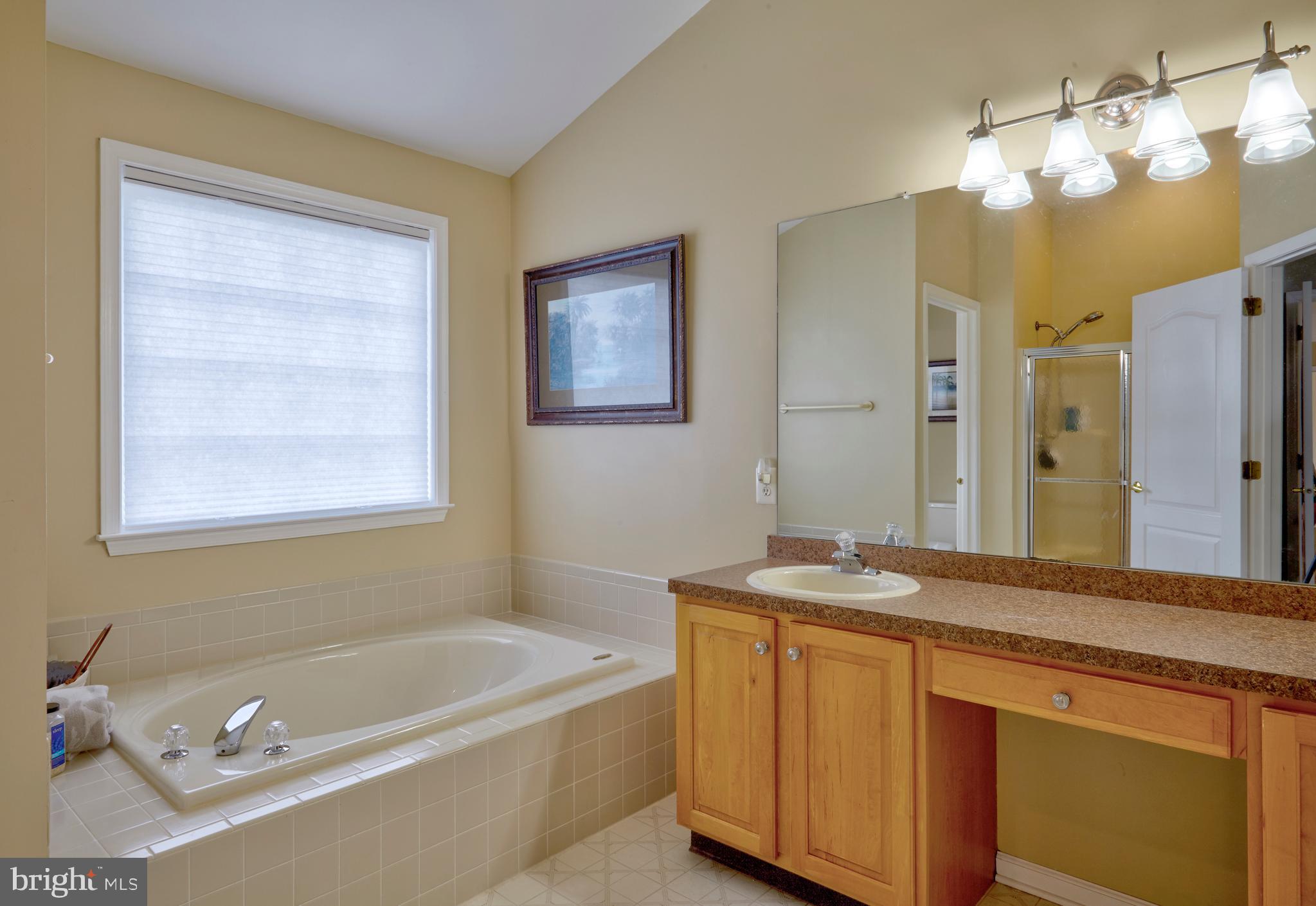 2 Thackery Road Hainesport, NJ 08036 - Photo 46 of 60 Master Bath
