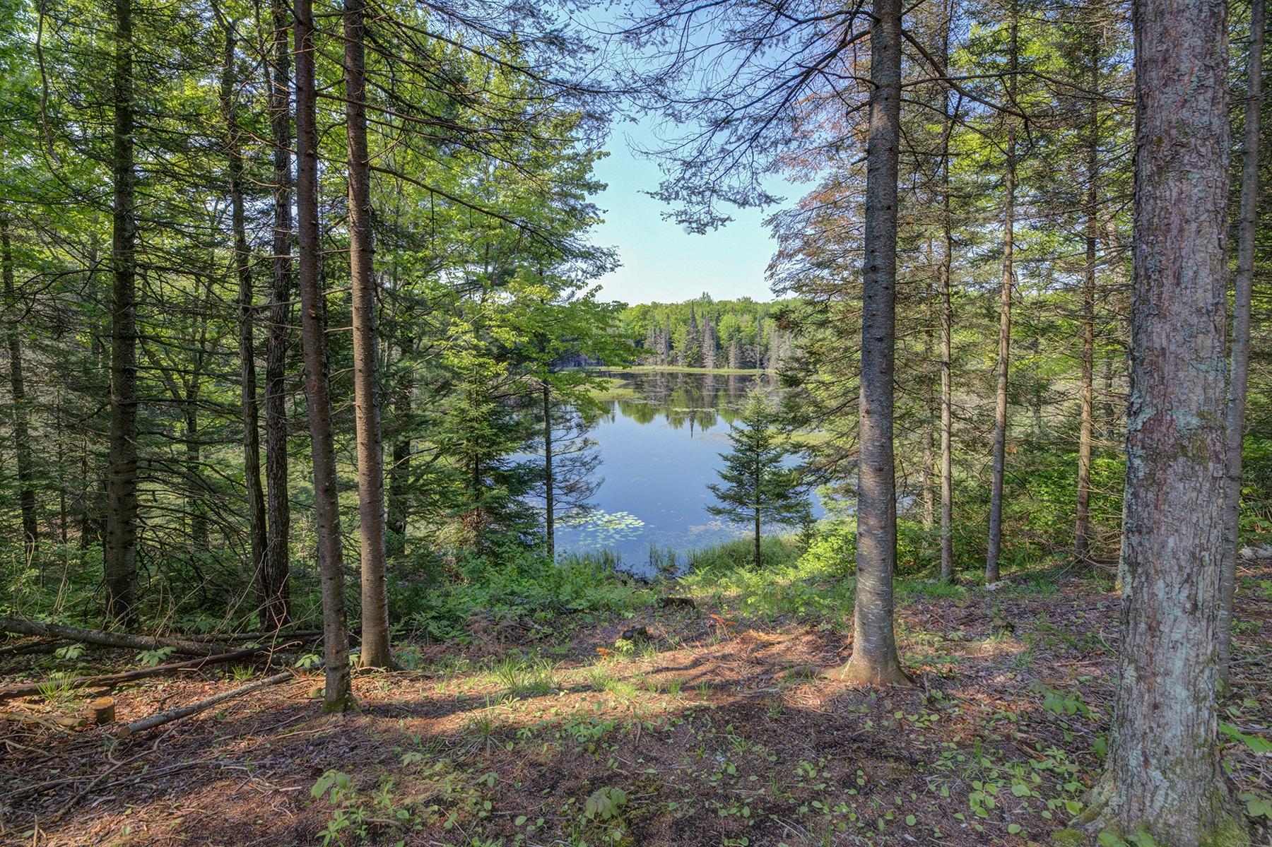 Lot 24 Gemstone Road Presque Isle, WI 54557 - Photo 8 of 23 Gallery Image 8