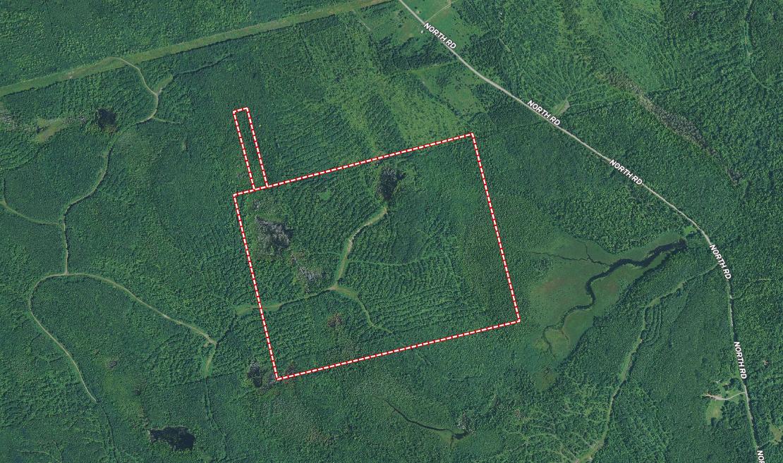 Lot 11 Sheepskin Road Carroll Plt, ME 04487 - Photo 3 of 8 Closer View