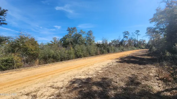 $17,900 | 0 Fargo Drive, Unit LOT 14, Alford, FL 32420