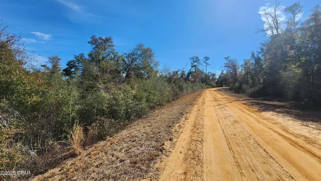 $17,900 | 0 Fargo Drive, Unit LOT 14, Alford, FL 32420