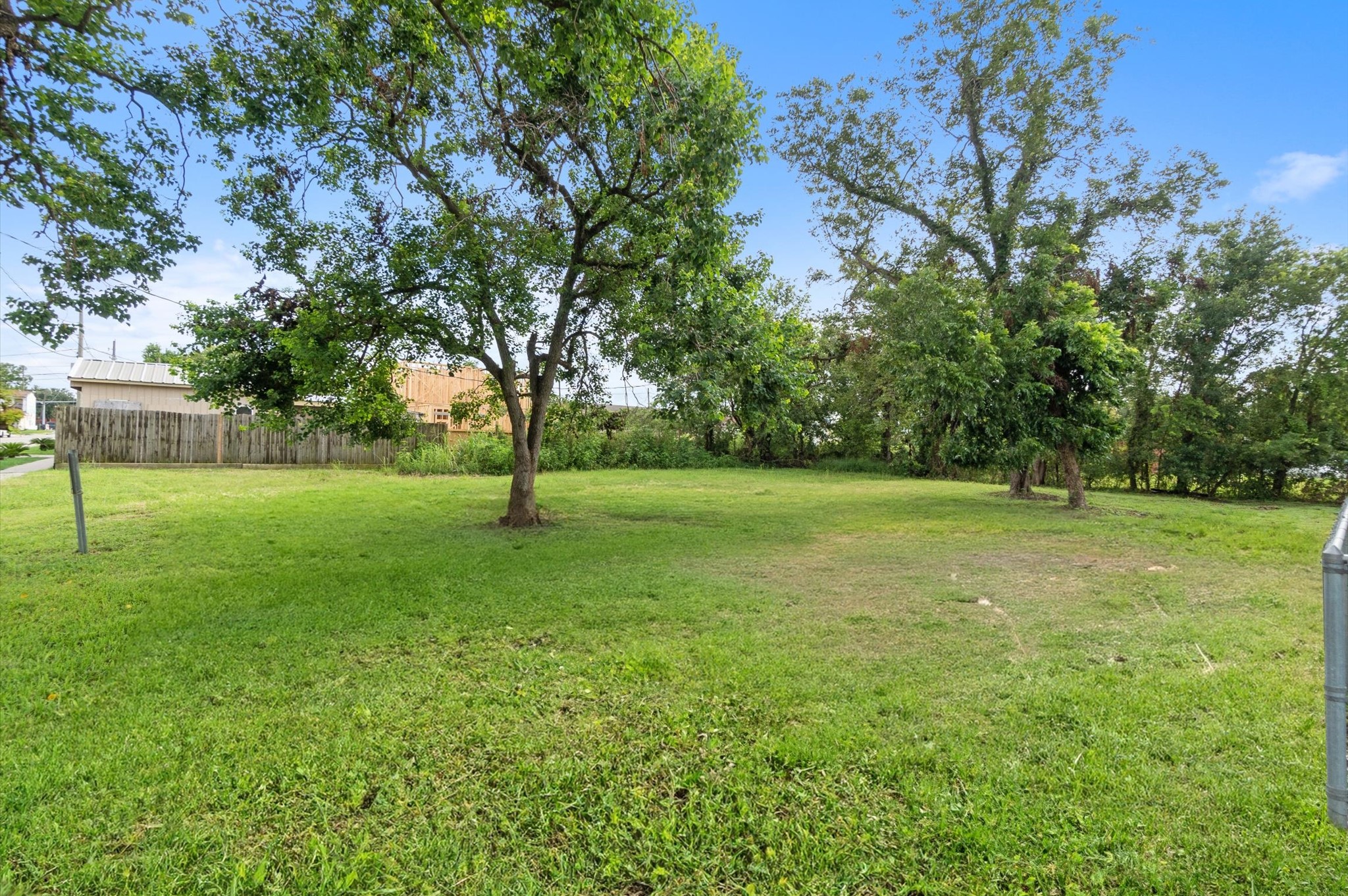 1711 Benson Street Houston, TX 77020 - Photo 2 of 11 a view of a park with large trees