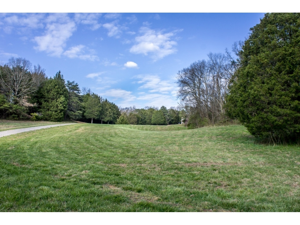 1718 West Allens Bridge Road Greeneville, TN 37743 - Photo 18 of 30 Photo 18
