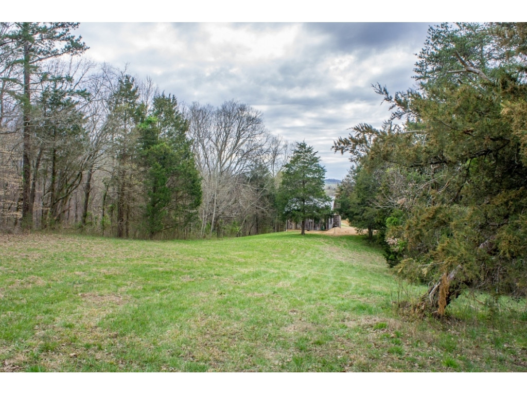 1718 West Allens Bridge Road Greeneville, TN 37743 - Photo 20 of 30 Photo 20