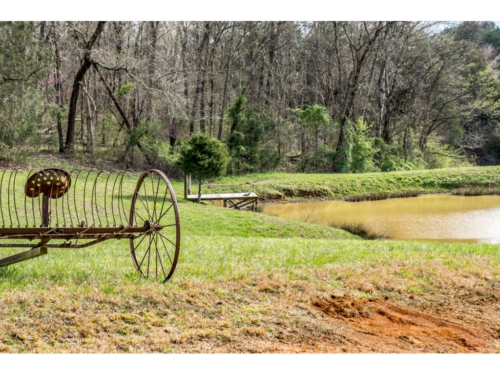 1718 West Allens Bridge Road Greeneville, TN 37743 - Photo 21 of 30 Photo 21