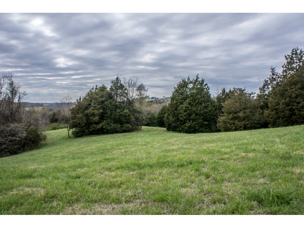 1718 West Allens Bridge Road Greeneville, TN 37743 - Photo 22 of 30 Photo 22