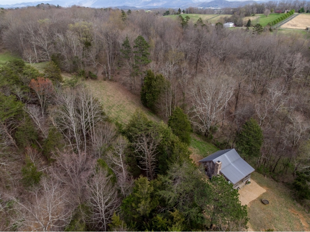 1718 West Allens Bridge Road Greeneville, TN 37743 - Photo 23 of 30 Photo 23