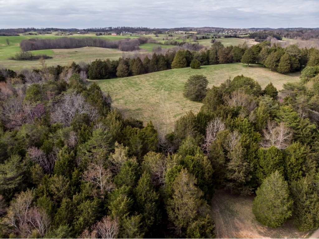 1718 West Allens Bridge Road Greeneville, TN 37743 - Photo 25 of 30 Photo 25