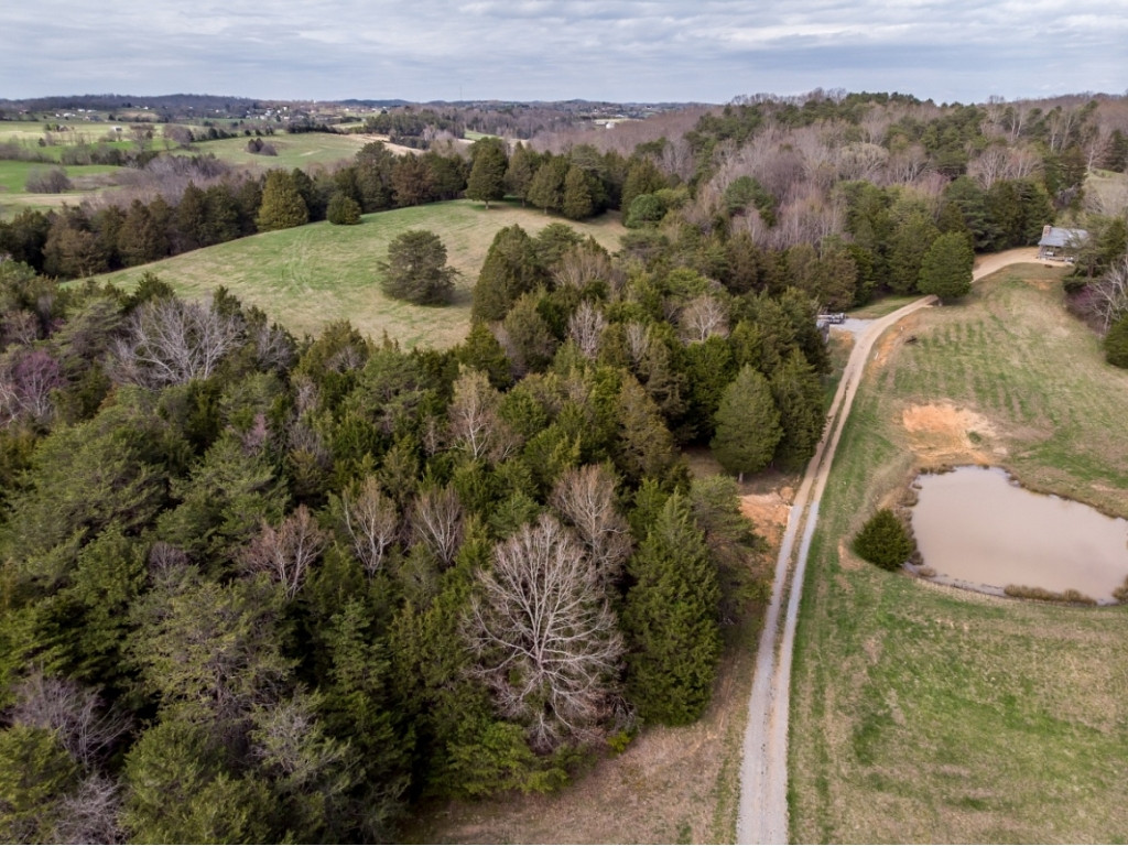 1718 West Allens Bridge Road Greeneville, TN 37743 - Photo 28 of 30 Photo 28