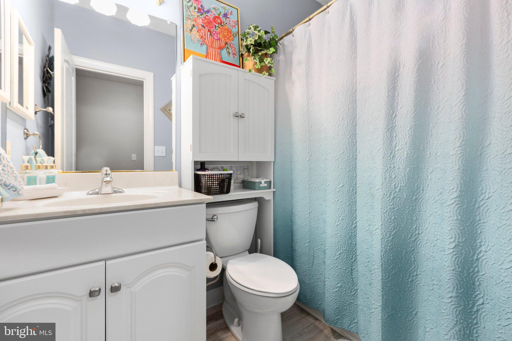 565 Busbees Point Road Bumpass, VA 23024 - Photo 49 of 135 Lower level full bathroom