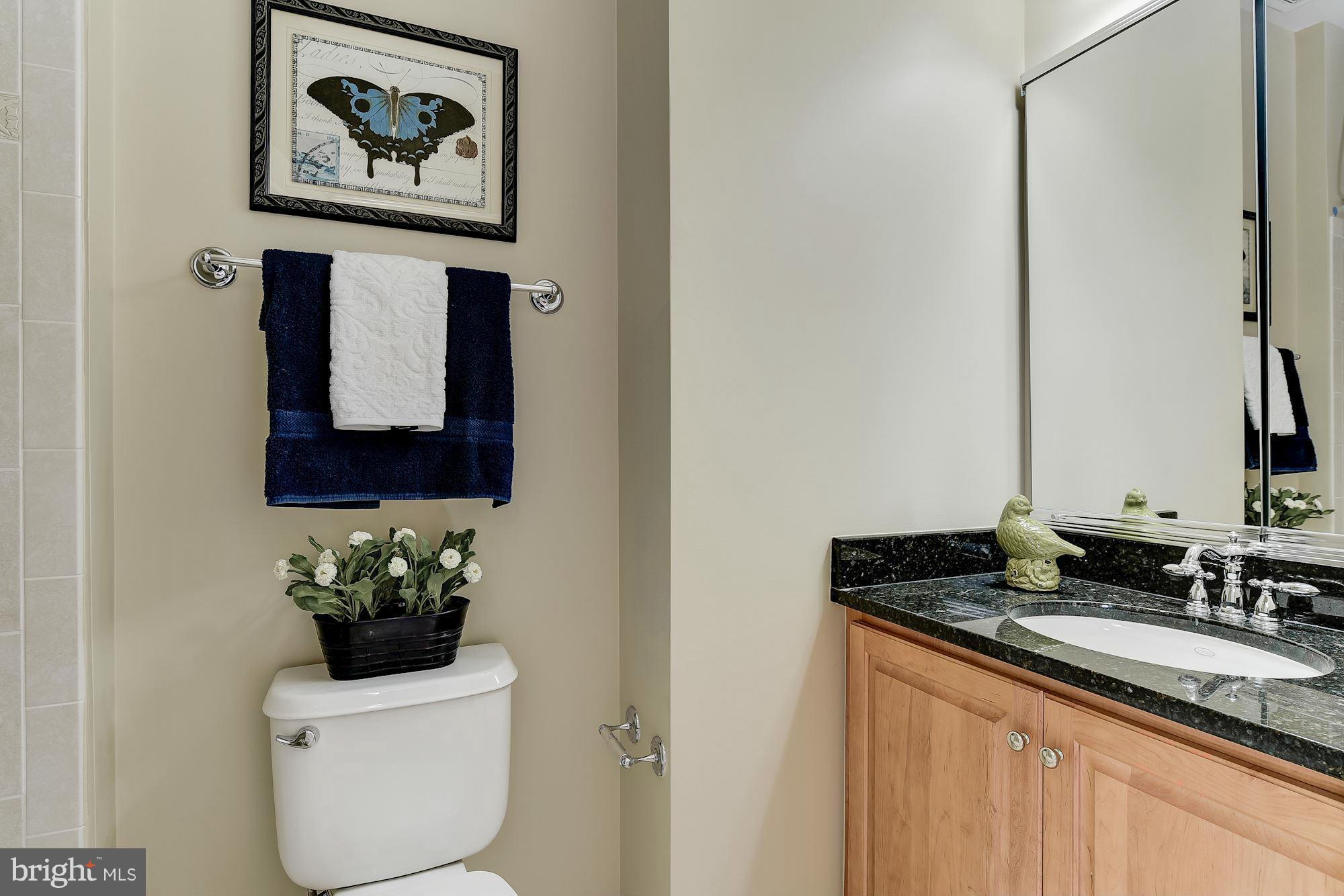 11211 Marwood Hill Road Potomac, MD 20854 - Photo 22 of 30 Bath