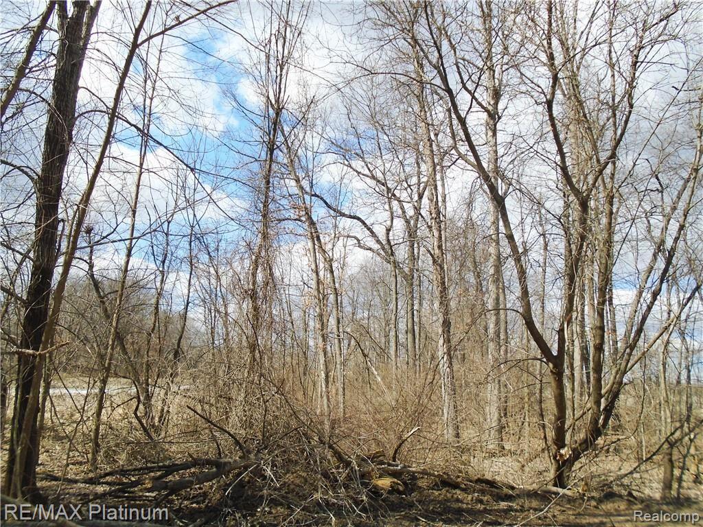 A 8 Hartland Road Fenton, MI 48430 - Photo 5 of 7