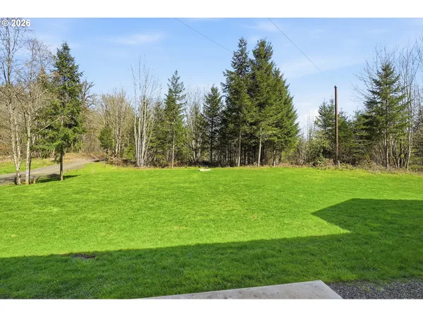 a view of a lake with a mountain in the background