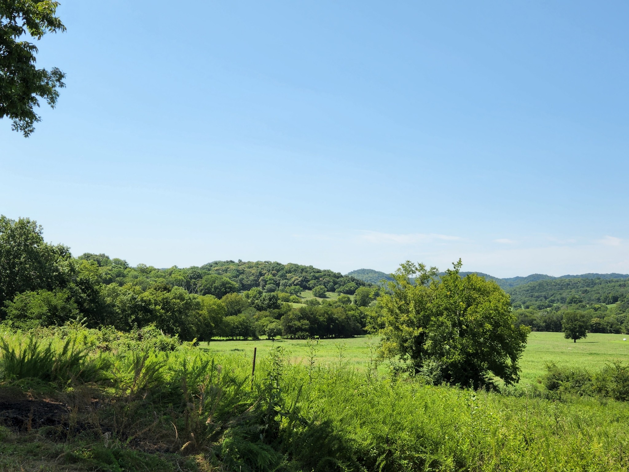 62 Shoulders Road Dixon Springs, TN 37057 - Photo 17 of 22 a view of a green field with lots of bushes