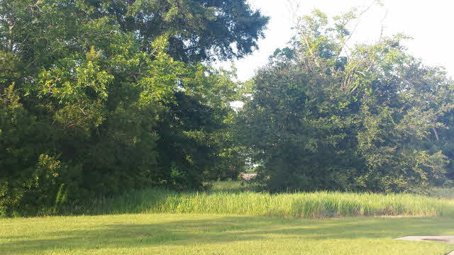 0 Tampa Avenue Foley, AL 36535 - Photo 1 of 1