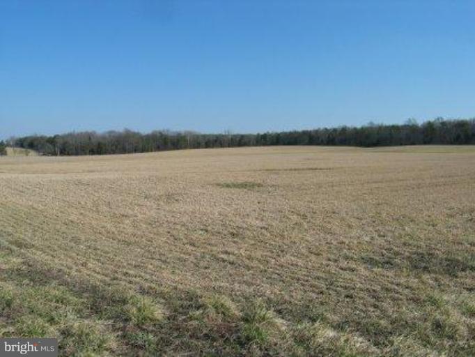 10407 Eustace Road Midland, VA 22728 - Photo 11 of 14 Hay Field