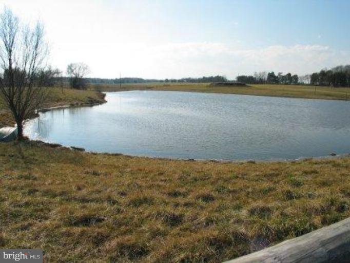 10407 Eustace Road Midland, VA 22728 - Photo 7 of 14 Pond