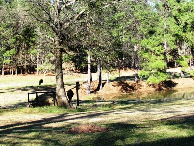 2779 Honey Ford Road Denmark, SC 29042 - Photo 25 of 31