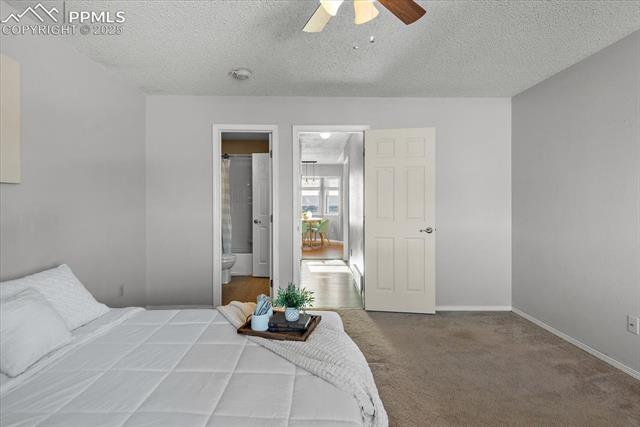 425 Blossom Field Road Fountain, CO 80817 - Photo 23 of 28