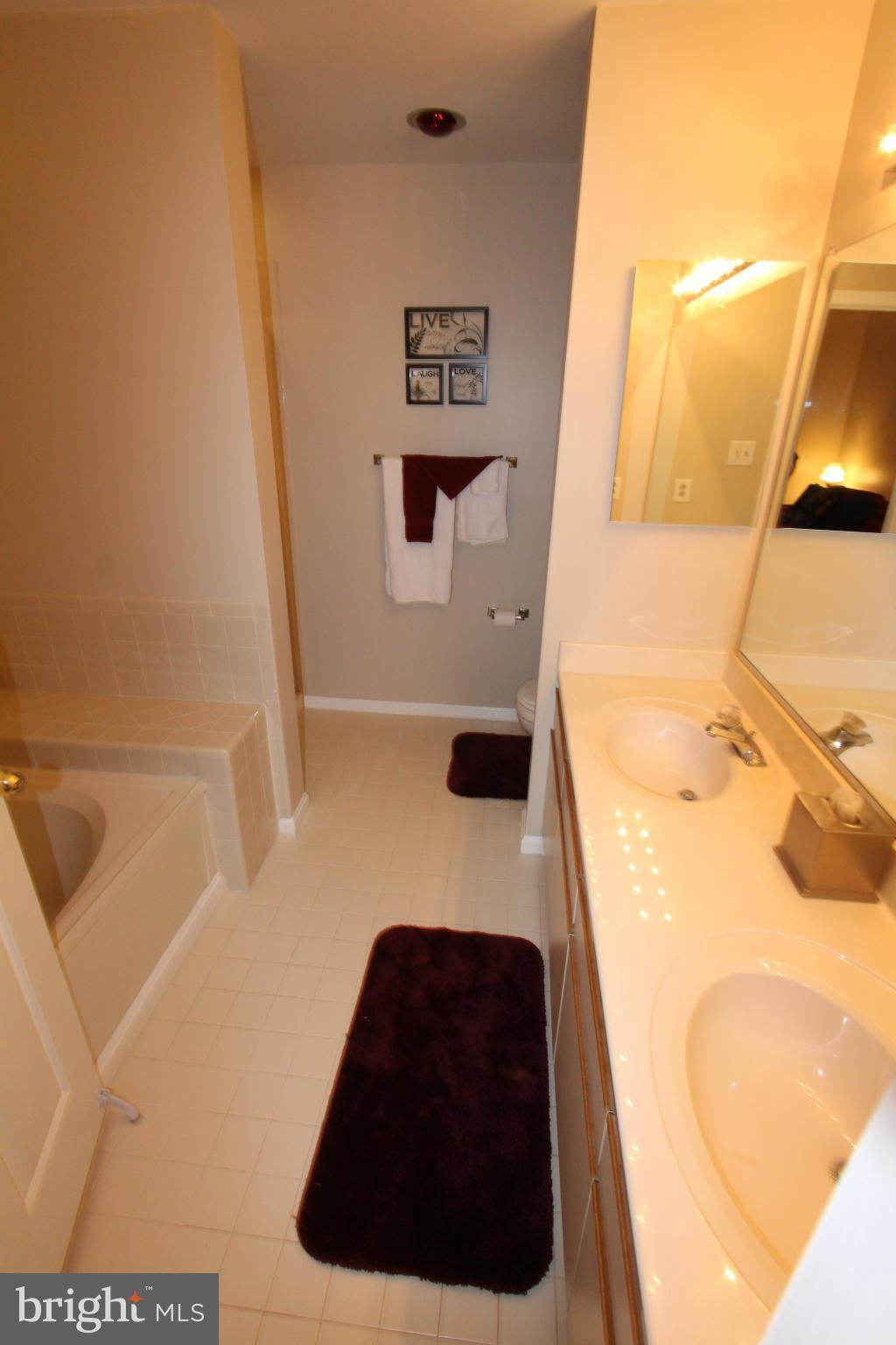 5215 Columbia Road, Unit 660 Columbia, MD 21044 - Photo 14 of 29 Bath (Master) - garden tub with separate shower
