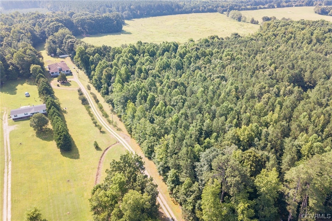 5158 Boydton Plank Road Brodnax, VA 23920 - Photo 35 of 43 a view of a yard with plants