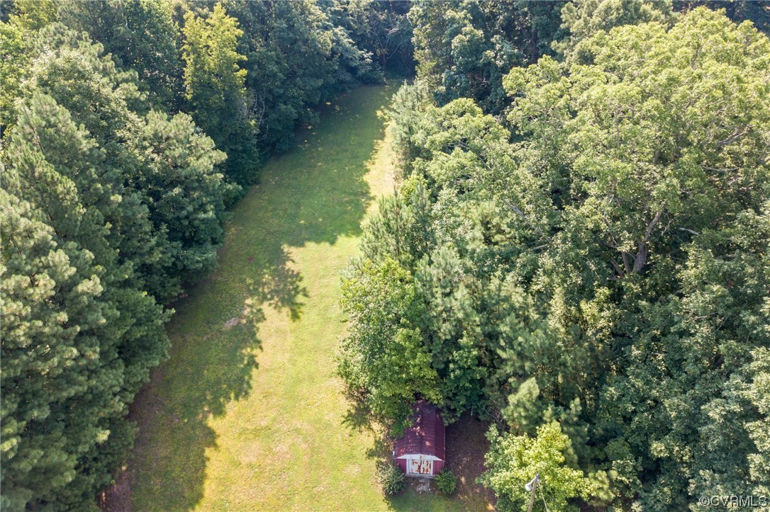 5158 Boydton Plank Road Brodnax, VA 23920 - Photo 41 of 43 a view of a trees in a yard