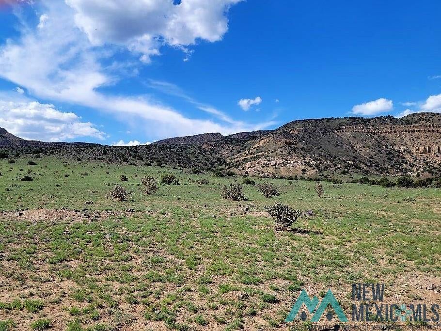 Tbd Rinconada Road San Fidel, NM 87049 - Photo 21 of 40