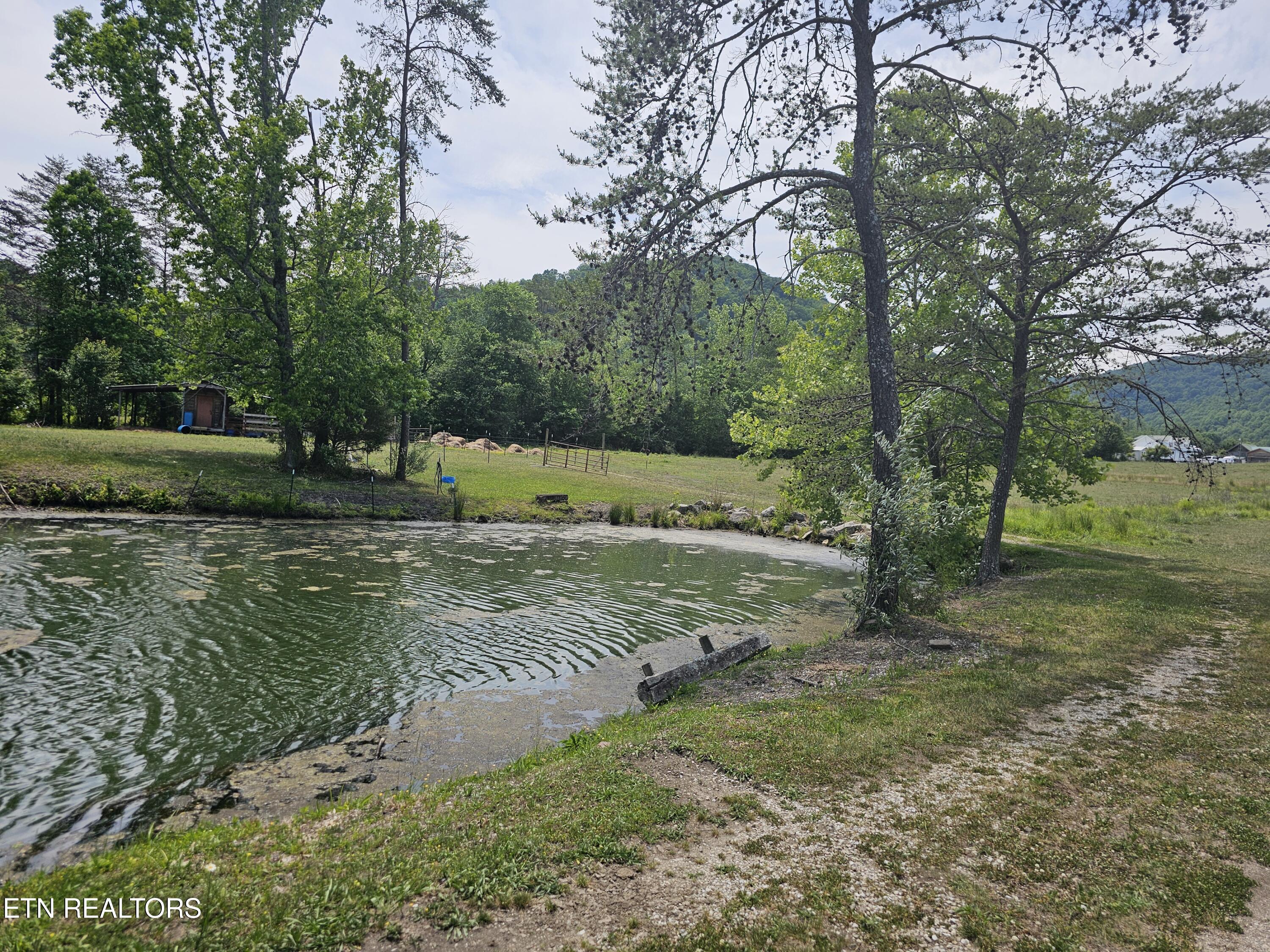 275 Republican Hill Road Newcomb, TN 37819 - Photo 3 of 34 Bring Your Fishing Pole
